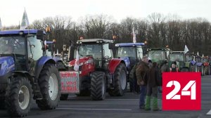 Мировые новости - Россия 24